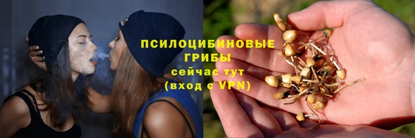 спайс Елабуга