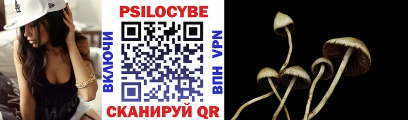 наркота  Карабаново  Галлюциногенные грибы мухоморы 
