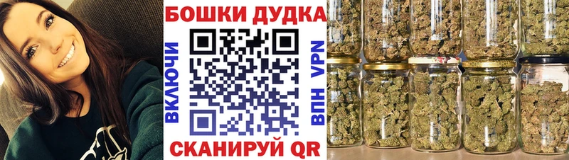 Бошки марихуана план  Карабаново 